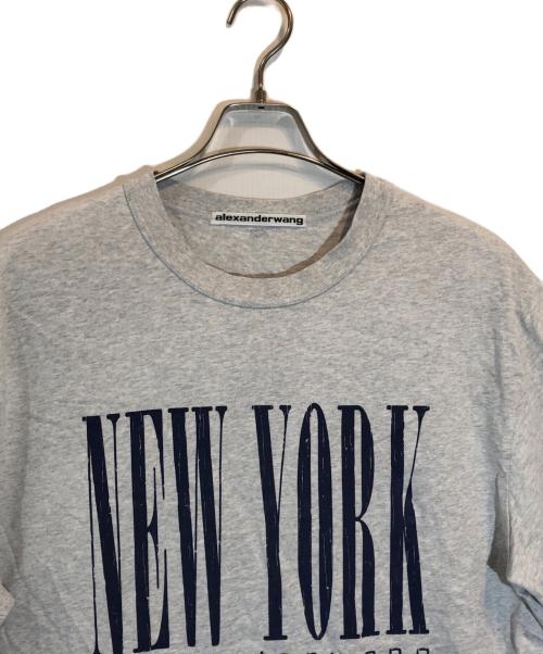 ALEXANDER WANG（アレキサンダー・ワン）ALEXANDER WANG (アレキサンダーワン) SHORT SLEEVE TEE WITH NY PUFF GRAPHIC グレー サイズ:SIZE Lの古着・服飾アイテム