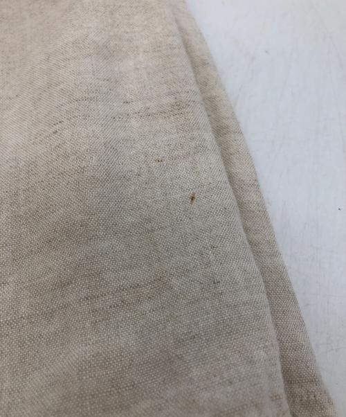 BEARDSLEY（ビアズリー）BEARDSLEY (ビアズリー) ドット刺繍ブラウス ベージュ サイズ:SIZE Freeの古着・服飾アイテム