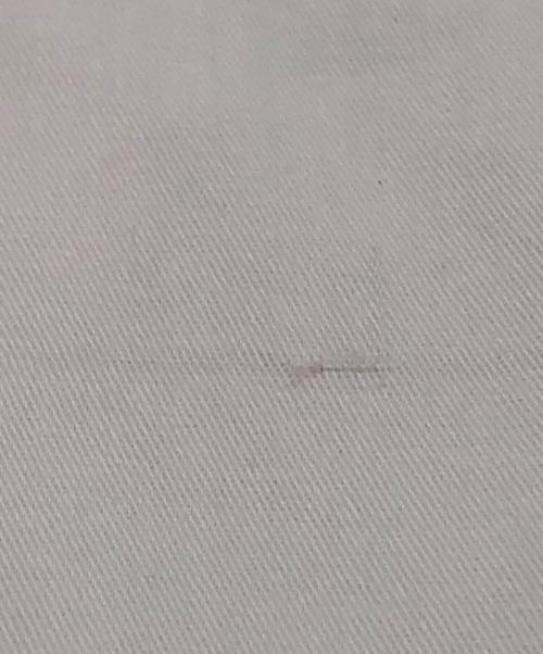 ADORE（アドーア）ADORE (アドーア) クリアコンパクトブラウス ホワイト サイズ:38の古着・服飾アイテム