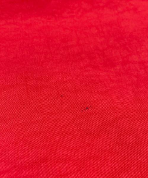 NIKE（ナイキ）NIKE (ナイキ) stussy (ステューシー) アノラックパーカー レッド サイズ:SIZE Lの古着・服飾アイテム