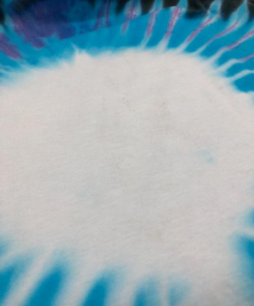 JERZEES（ジャージーズ）JERZEES (ジャージーズ) プリントTシャツ ブルー サイズ:SIZE Lの古着・服飾アイテム