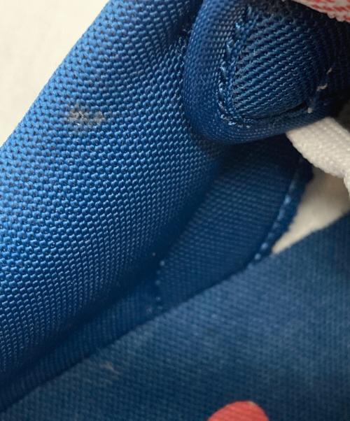 NIKE（ナイキ）NIKE (ナイキ) ダンク ロー バレリアンブルー サイズ:SIZE US 9の古着・服飾アイテム