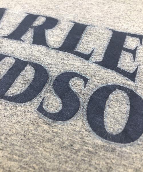 HARLEY-DAVIDSON（ハーレーダビッドソン）HARLEY-DAVIDSON (ハーレーダビッドソン) プリントTシャツ ブラウン サイズ:SIZE Lの古着・服飾アイテム