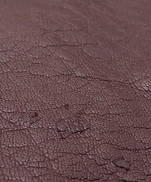 AVIREX（アヴィレックス）AVIREX (アヴィレックス) レザージャケット レッド サイズ:Mの古着・服飾アイテム