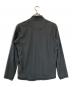ARC'TERYX (アークテリクス) Delta LT Jacket グレー サイズ:SIZE L：12000円