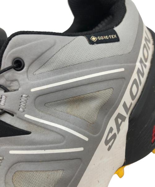 SALOMON（サロモン）SALOMON (サロモン) Speedcross GTX Gore-Tex Sharkskin グレー サイズ:29ｃｍの古着・服飾アイテム
