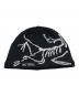 ARC'TERYX（アークテリクス）の古着「Bird Head Toque」｜ブラック
