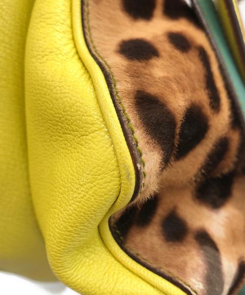 DOLCE & GABBANA（ドルチェ＆ガッバーナ）DOLCE & GABBANA (ドルチェ＆ガッバーナ) レザーハラコショルダーバッグ ブラウン×イエローの古着・服飾アイテム