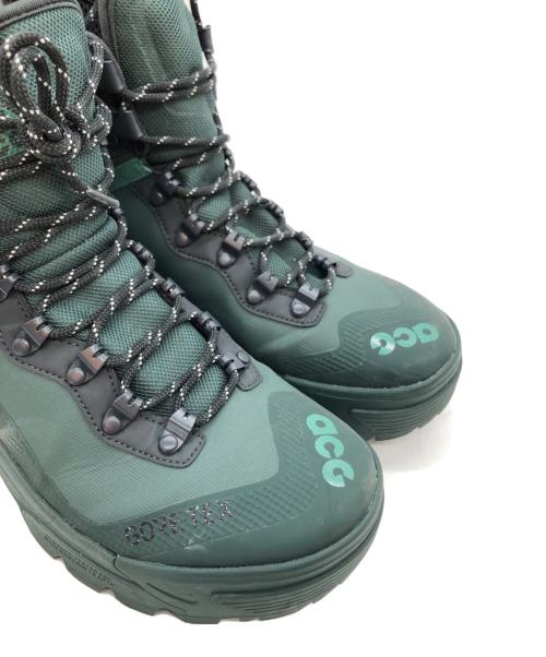 NIKE ACG（ナイキエーシージー）NIKE ACG (ナイキエーシージー) Air Zoom Gaiadome GORE-TEX 
