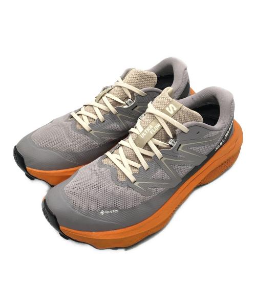 SALOMON（サロモン）SALOMON (サロモン) Ultra Flow 2 GTX グレー サイズ:29㎝の古着・服飾アイテム