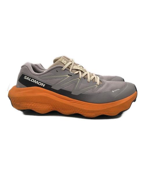 SALOMON（サロモン）SALOMON (サロモン) Ultra Flow 2 GTX グレー サイズ:29㎝の古着・服飾アイテム