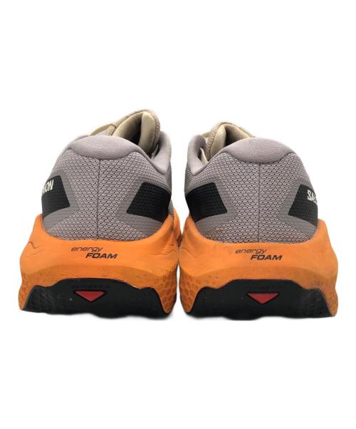 SALOMON（サロモン）SALOMON (サロモン) Ultra Flow 2 GTX グレー サイズ:29㎝の古着・服飾アイテム