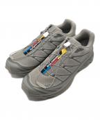 SALOMONサロモン）の古着「XT-6 Ghost Gray」｜グレー