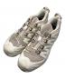 SALOMON（サロモン）の古着「XA PRO 3D V9 GTX」｜ベージュ