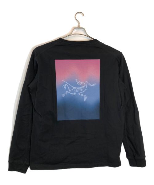 ARC'TERYX（アークテリクス）ARC'TERYX (アークテリクス) KRAGG CTTN HT LSWHITE LIGHT ブラック サイズ:Mの古着・服飾アイテム
