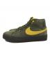 NIKE (ナイキ) ANTIHERO (アンタイヒーロー) SB Zoom Blazer Mid QS 