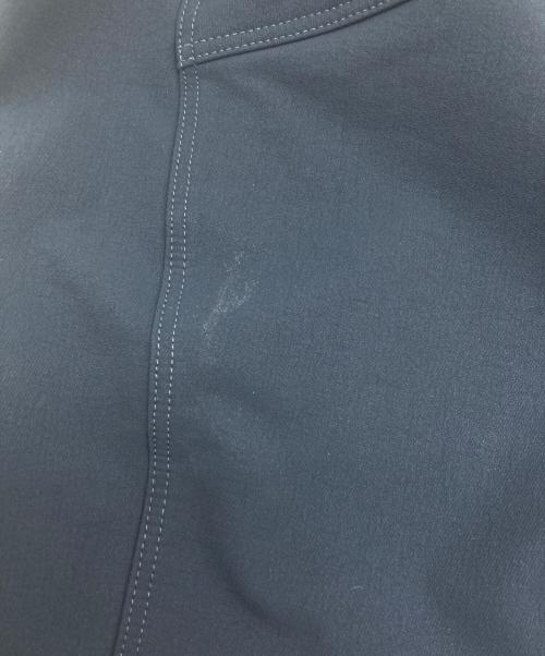 ARC'TERYX（アークテリクス）ARC'TERYX (アークテリクス) GAMMA AR PANT ネイビー サイズ:SIZE 30の古着・服飾アイテム