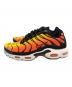 NIKE (ナイキ) Air Max Plus 