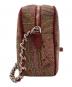 ETRO (エトロ) ペイズリー柄チェーンショルダーバッグ ブラウン×レッド：20000円
