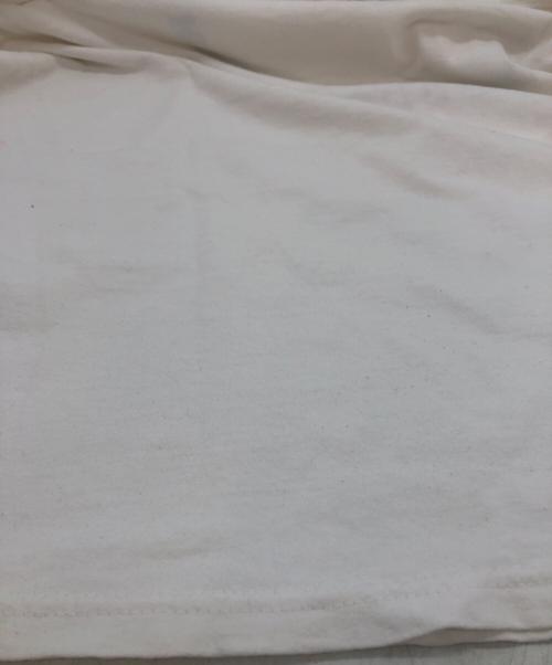 GOODENOUGH（グッドイナフ）GOODENOUGH (グッドイナフ) GILDAN (ギルダン) WORLD FAMOUS Tシャツ ホワイト サイズ:Lの古着・服飾アイテム