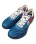 NIKE（ナイキ）の古着「ZoomX ヴェイパーフライ Next% 4 'International Running Pack'」｜ブルー