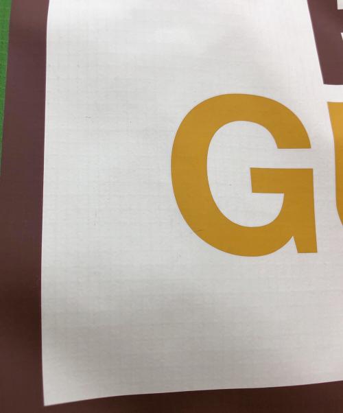 GUCCI（グッチ）GUCCI (グッチ) THE NORTH FACE (ザ ノース フェイス) ダウンジャケット グリーン サイズ:XLの古着・服飾アイテム