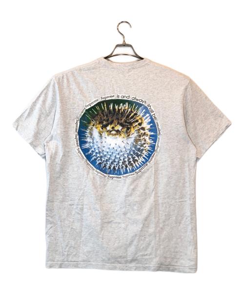 SUPREME（シュプリーム）Supreme (シュプリーム) BLOWFISH TEE グレー サイズ:Lの古着・服飾アイテム