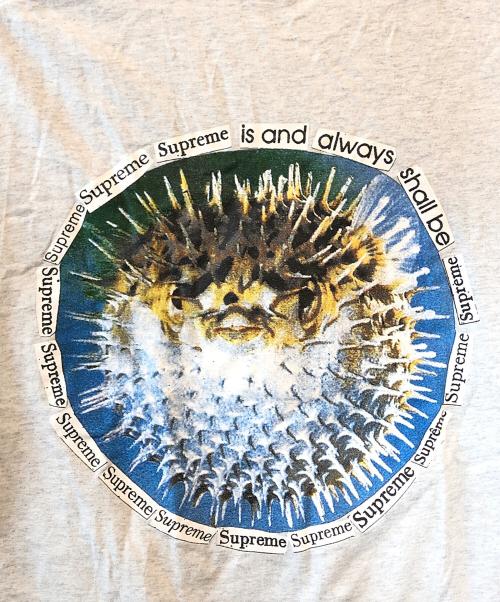 SUPREME（シュプリーム）Supreme (シュプリーム) BLOWFISH TEE グレー サイズ:Lの古着・服飾アイテム