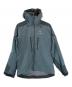ARC'TERYX（アークテリクス）の古着「ALPHA AR JACKET」｜スカイブルー