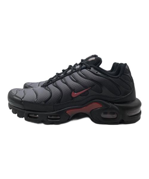 NIKE（ナイキ）NIKE (ナイキ) AIR MAX PLUS グレー×ブラック サイズ:US10の古着・服飾アイテム