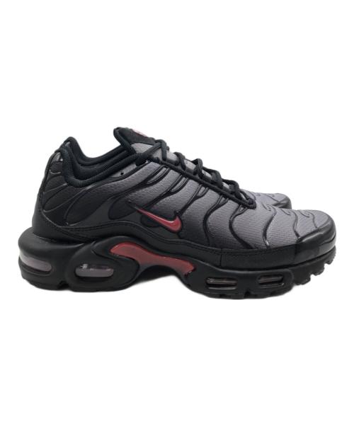 NIKE（ナイキ）NIKE (ナイキ) AIR MAX PLUS グレー×ブラック サイズ:US10の古着・服飾アイテム