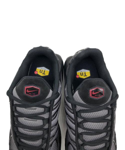 NIKE（ナイキ）NIKE (ナイキ) AIR MAX PLUS グレー×ブラック サイズ:US10の古着・服飾アイテム