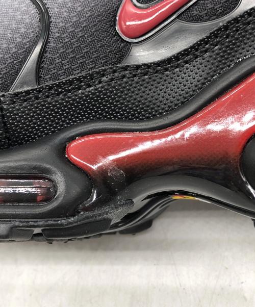 NIKE（ナイキ）NIKE (ナイキ) AIR MAX PLUS グレー×ブラック サイズ:US10の古着・服飾アイテム