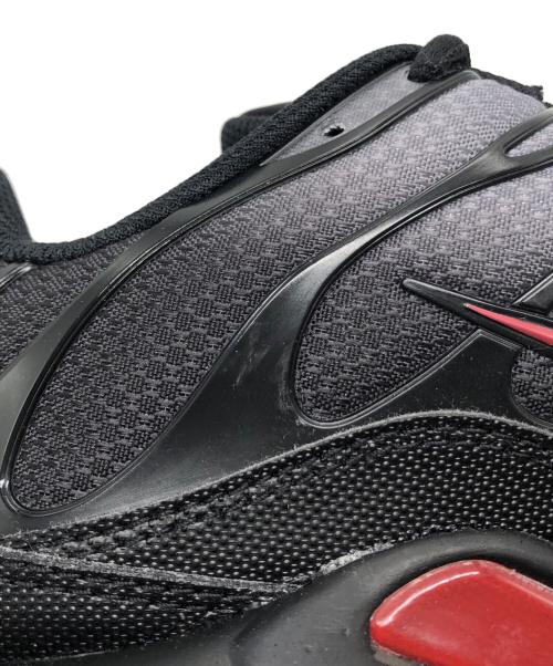 NIKE（ナイキ）NIKE (ナイキ) AIR MAX PLUS グレー×ブラック サイズ:US10の古着・服飾アイテム