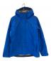 Patagonia（パタゴニア）の古着「トレントシェル3L・ジャケット」｜ブルー