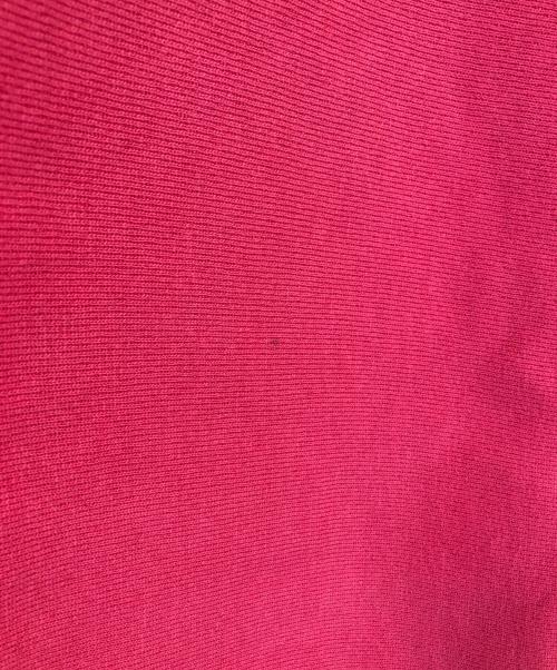 Champion（チャンピオン）Champion (チャンピオン) リバースウィーブスウェット ショッキングピンク サイズ:XLの古着・服飾アイテム