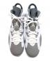 NIKE (ナイキ) Air Jordan 6 