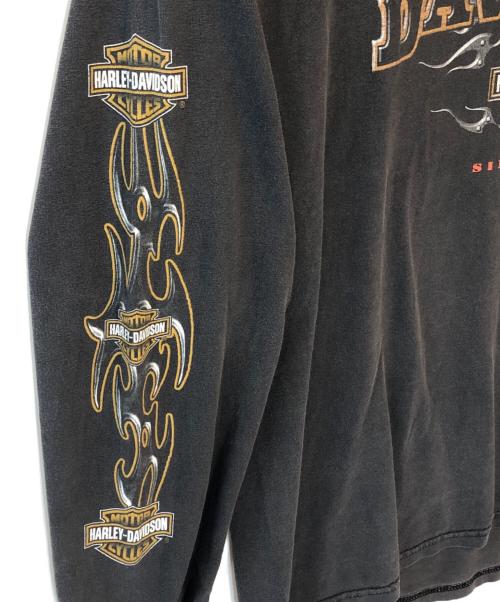 HARLEY-DAVIDSON（ハーレーダビッドソン）HARLEY-DAVIDSON (ハーレーダビッドソン) ロングスリーブカットソー グレー サイズ:XLの古着・服飾アイテム