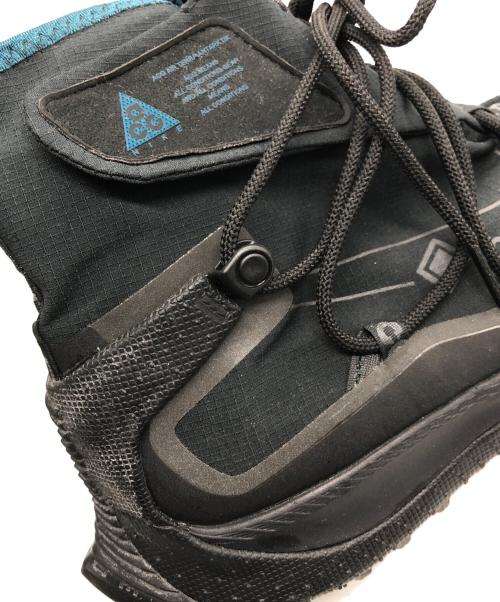 NIKE ACG（ナイキエーシージー）NIKE ACG (ナイキエーシージー) AIR TERRA ANTARKTIK GORE-TEX（エア テラ アンタークティック GORE-TEX） ブラック サイズ:US9の古着・服飾アイテム
