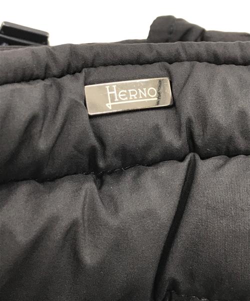 HERNO（ヘルノ）HERNO (ヘルノ) L'ESKIMO ダウンジャケット ネイビー サイズ:SIZE 44の古着・服飾アイテム