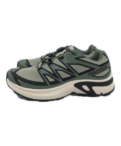 SALOMON（サロモン）SALOMON (サロモン) XT-EVR グレー サイズ:25.5cm 未使用品の古着・服飾アイテム