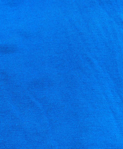 JOHN SMEDLEY（ジョンスメドレー）JOHN SMEDLEY (ジョンスメドレー) PURE NEW WOOL CARDIGAN ブルー サイズ:Mの古着・服飾アイテム