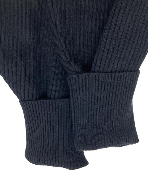 HeRIN.CYE（ヘリンドットサイ）HeRIN.CYE (ヘリンドットサイ) Tuck balloon knit tops ブラック×ホワイト サイズ:FREEの古着・服飾アイテム