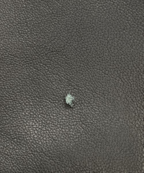 AVIREX（アヴィレックス）AVIREX (アヴィレックス) レザー トラックジャケット ブラック サイズ:XLの古着・服飾アイテム