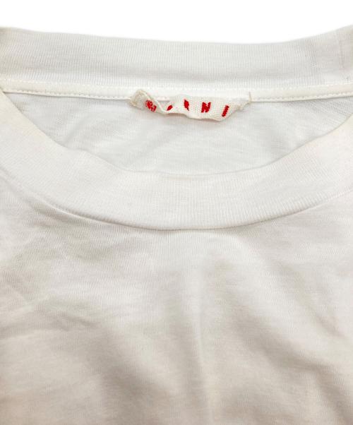 MARNI（マルニ）MARNI (マルニ) ネックロゴTシャツ ホワイト サイズ:44の古着・服飾アイテム