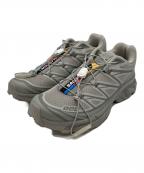 SALOMONサロモン）の古着「XT-6 GHOST GRAY」｜グレー