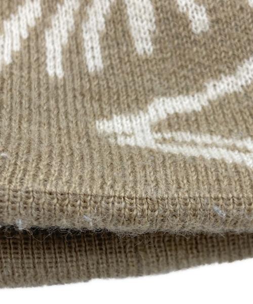 ARC'TERYX（アークテリクス）ARC'TERYX (アークテリクス) Bird Head Toqueの古着・服飾アイテム