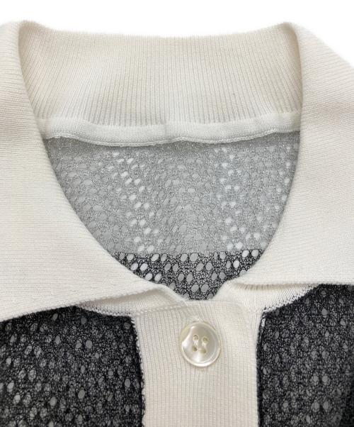 cygne（シーニュ）cygne (シーニュ) シースルーラガーシャツ グレー×ブラック サイズ:FREEの古着・服飾アイテム