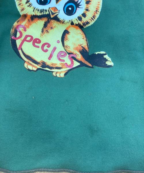 Vivienne Westwood（ヴィヴィアンウエストウッド）Vivienne Westwood (ヴィヴィアンウエストウッド) ENDANGERED SPECIES OWL SWEAT SHIRT グリーン サイズ:48の古着・服飾アイテム