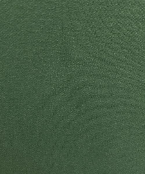 Vivienne Westwood（ヴィヴィアンウエストウッド）Vivienne Westwood (ヴィヴィアンウエストウッド) ENDANGERED SPECIES OWL SWEAT SHIRT グリーン サイズ:48の古着・服飾アイテム